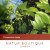 Cinnamon and Black Pepper Tea